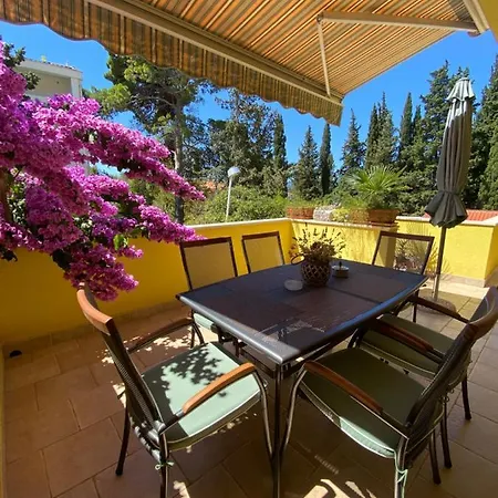 Marijan أوروبيتش